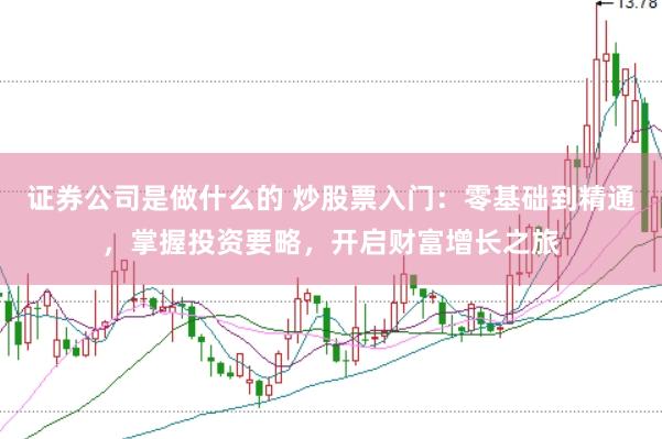 证券公司是做什么的 炒股票入门：零基础到精通，掌握投资要略，开启财富增长之旅