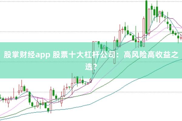 股掌财经app 股票十大杠杆公司：高风险高收益之选？