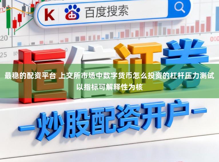 最稳的配资平台 上交所市场中数字货币怎么投资的杠杆压力测试以指标可解释性为核