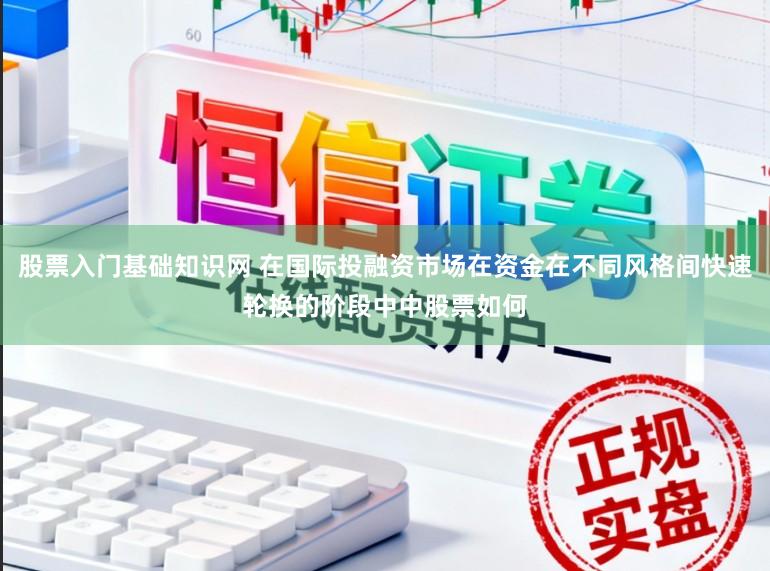 股票入门基础知识网 在国际投融资市场在资金在不同风格间快速轮换的阶段中中股票如何